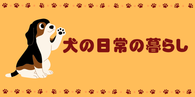 cook 今日なに作ろ？